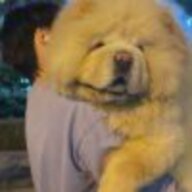 确定为