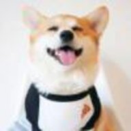 蓝田植