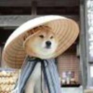 王陈陈