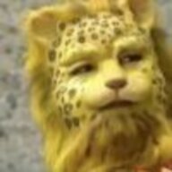 CQQQQ