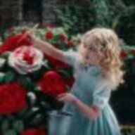 Venus_