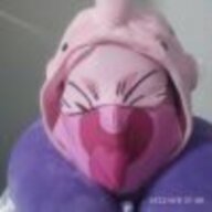sox浪狗