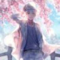 石榴花