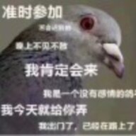 hongshaoxiegz