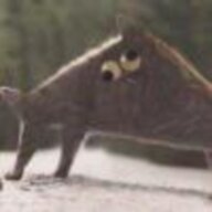 zjcdzjh