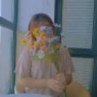 菜鸟领袖