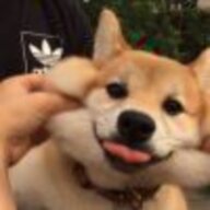 太老啦人