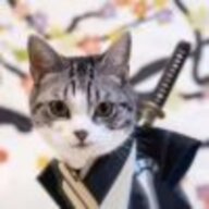 白晓墨