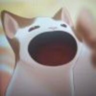 白丝加猫猫
