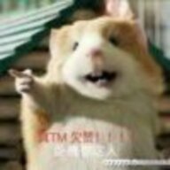 土豆111