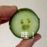 白马非马