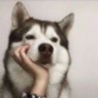 南江悍匪
