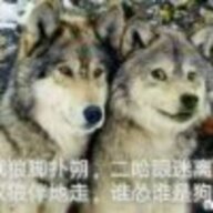 fanzhiyuan