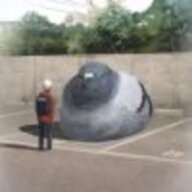 鸽子哦哦