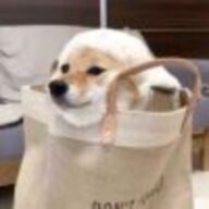 CyouI