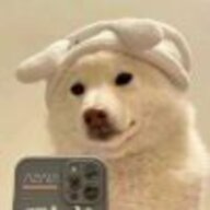 凡尘qwq