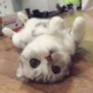 一壶老酱油