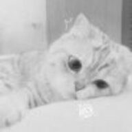 yuio