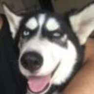 hhhhh6666