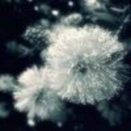 冰寒雪