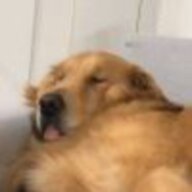 张耘铭