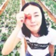 我爱玩游戏