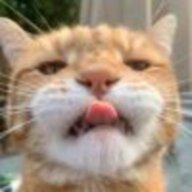 awlzg
