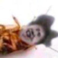 鲲鲲ikun