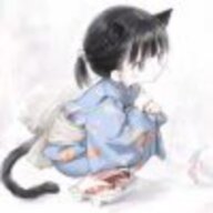 夏知秋