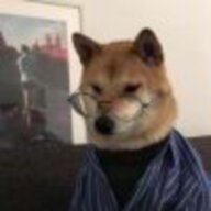 asfhytgb