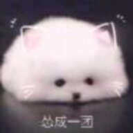 摸鱼第一人