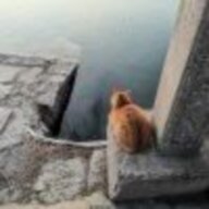 代价为彩笔