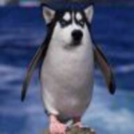 cmd