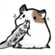 xybshx