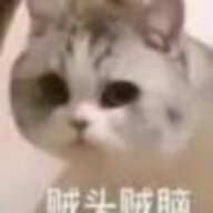 白给静