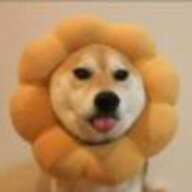 qwertyu