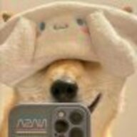 646