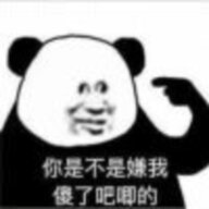 彩小猪