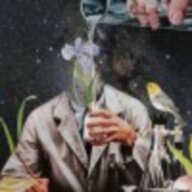 孤者挚爱