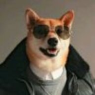 wulidd
