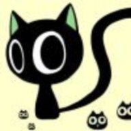 迷糊猫
