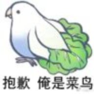 huangxiaobiao2
