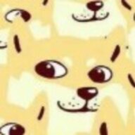 猪猪侠zxyy