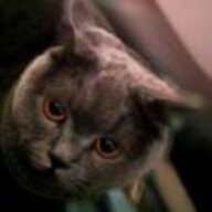 zacy