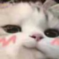 阿库娅桑