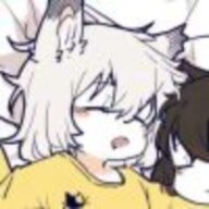 橘猫啊