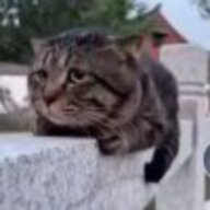 儒墨寒