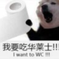 12331241wd123