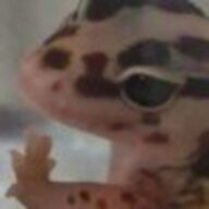 第三方的