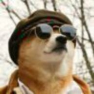 Beenic